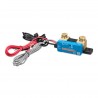 Victron Energy Smart Shunt IP65, 1000A/50mV, Batterieüberwachung - Ab schweizer Lager