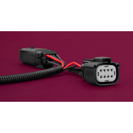 Stedi Adapterkabel zu Hauptscheinwerfer