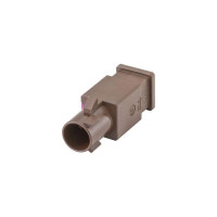 Video, Audio, Antennen Stecker